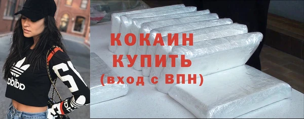 стафф Сосновый Бор