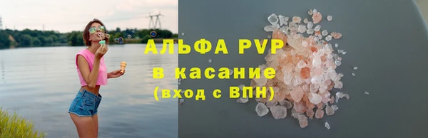 ГАЛЛЮЦИНОГЕННЫЕ ГРИБЫ Аркадак